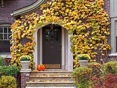 The Best Fall Home Maintenance Tips