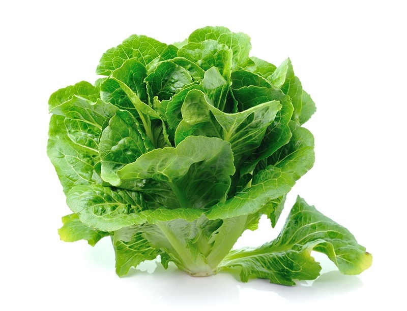 Spring Recipe of Watercress, Avocado, and Tangerine Salad