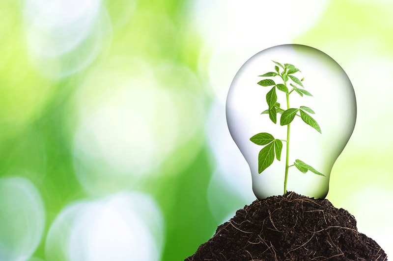 How to Help Your Business go Green