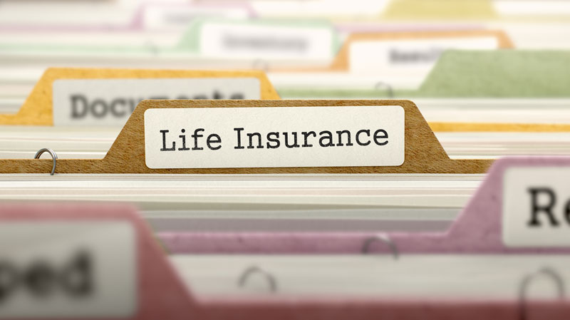 Choosing Between Whole and Term Life Insurance