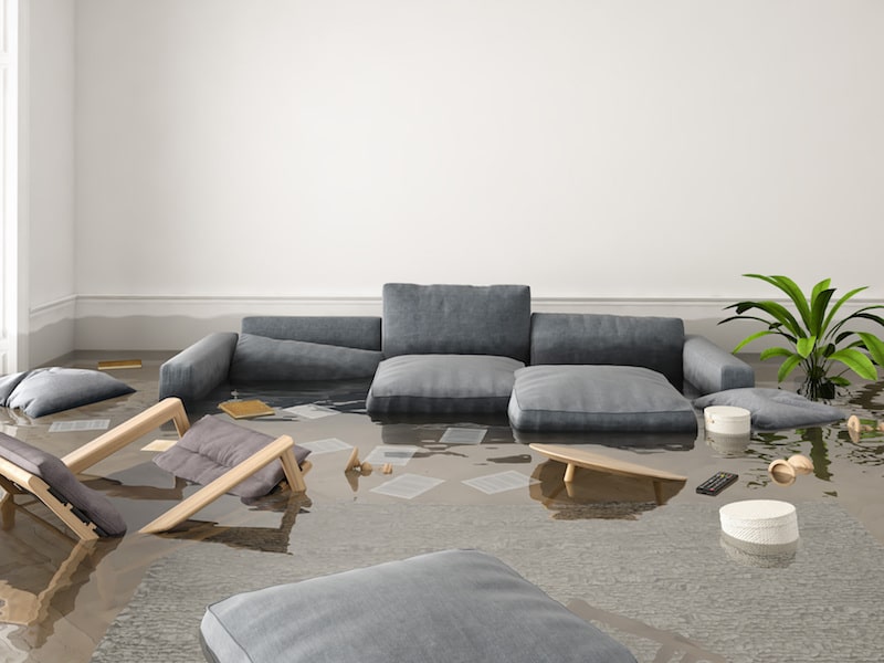 5 Steps to Take After Your Home Floods