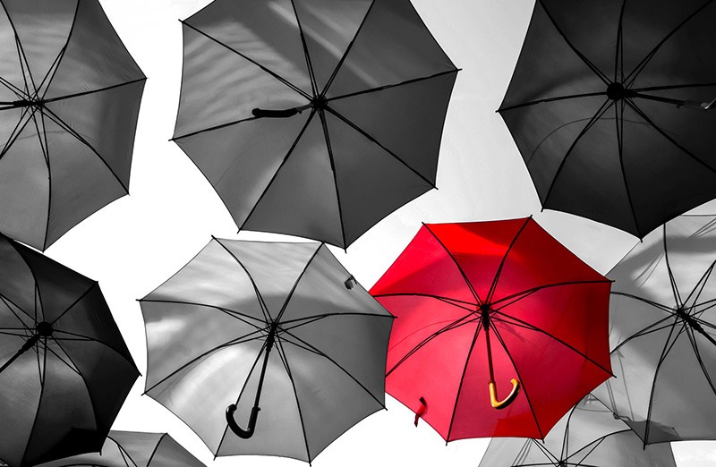 How Does Umbrella Insurance Help Small Businesses?